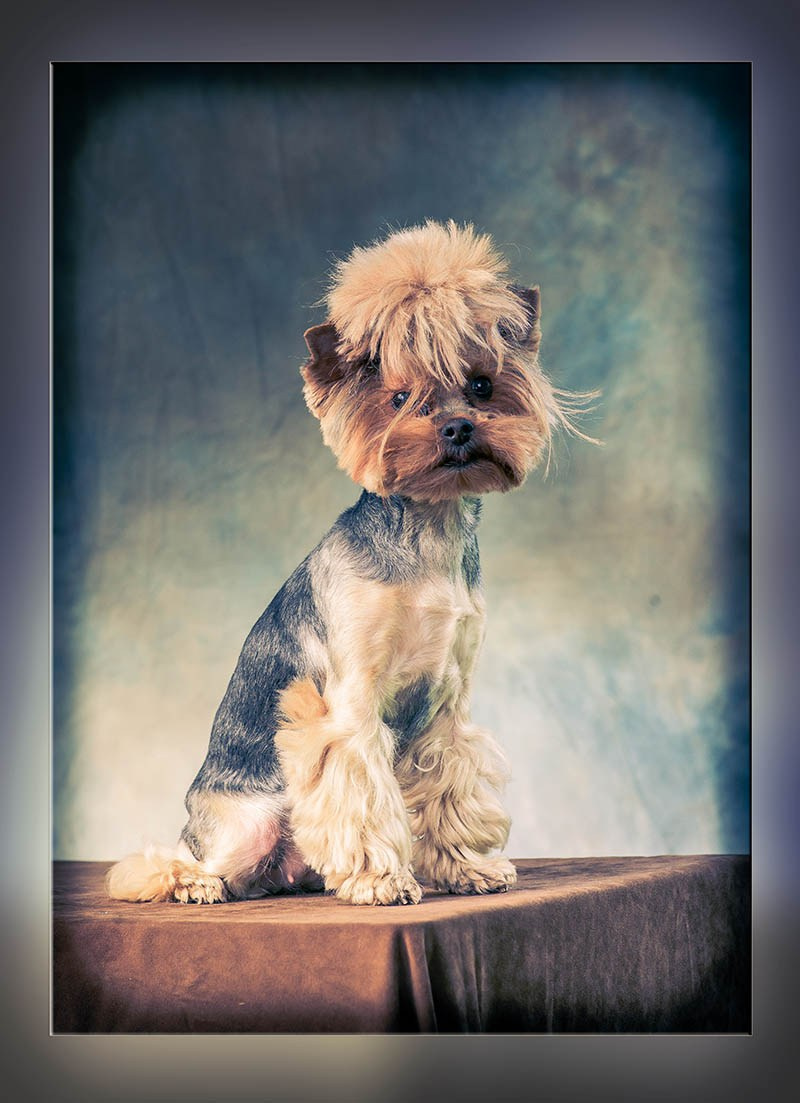 Семейные фотосъемки на выезде и в студии. Skazka.wfolio.pro