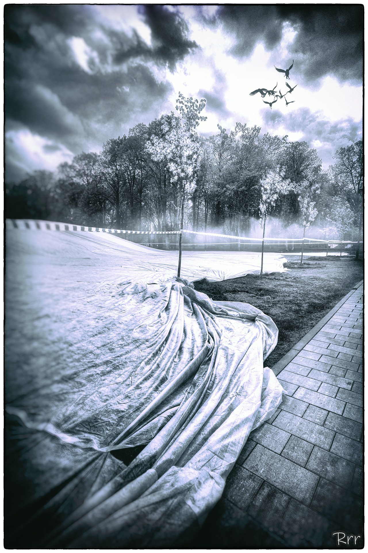 Черно-белая фотография. Фотограф в Москве
