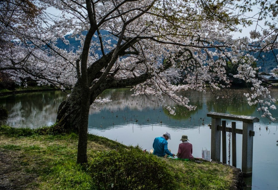 Japan. Фотограф Cyberkyrie