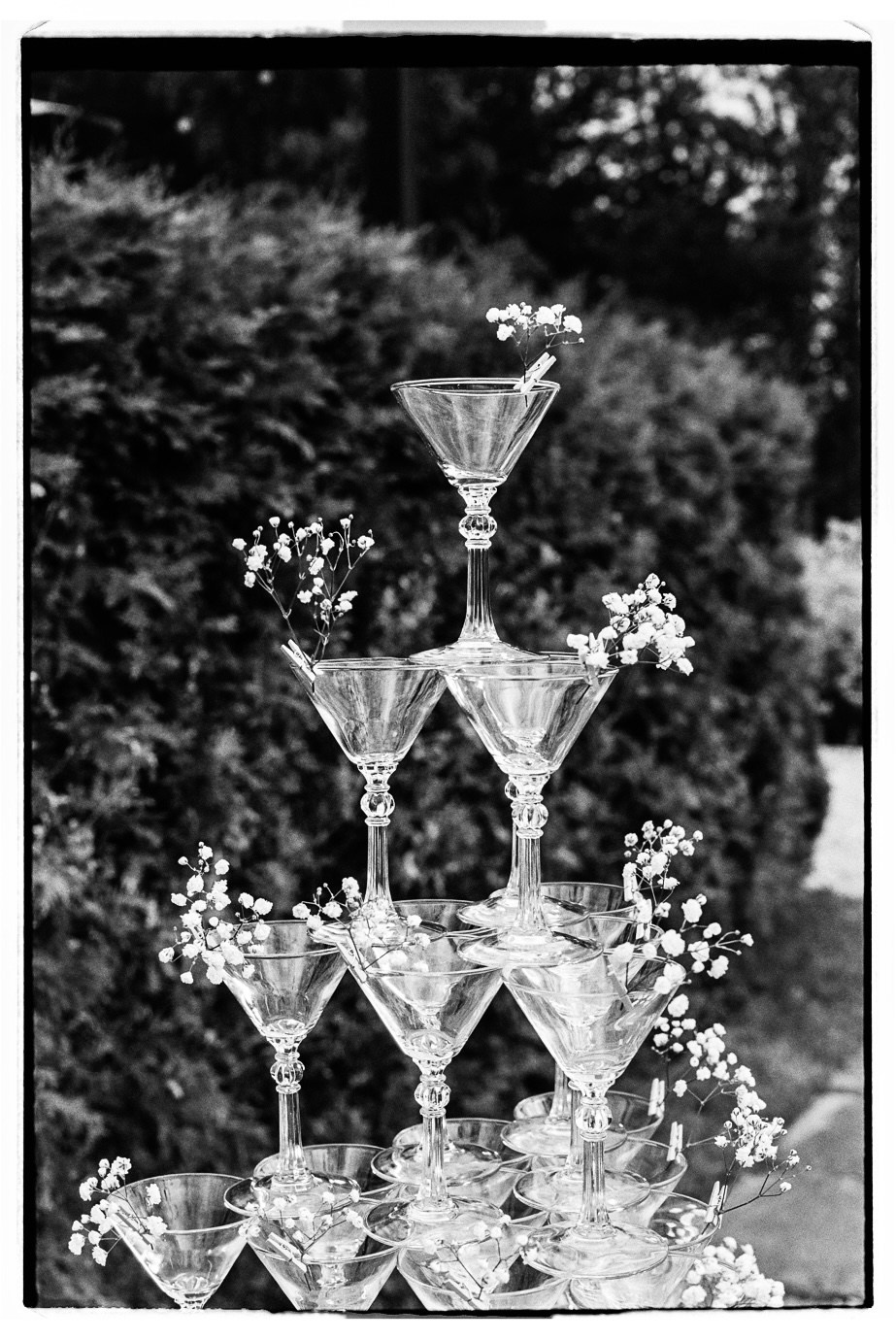 Превью на плёнку. Главная