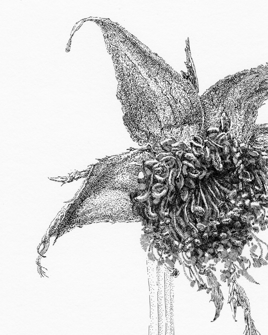 After Bouquet. Rose. 7. Nadezhda Polomoshnova, fine artist in Charleston