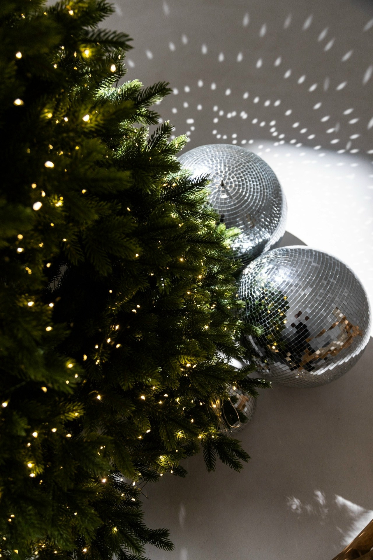 НГ студии зима 2025-2026