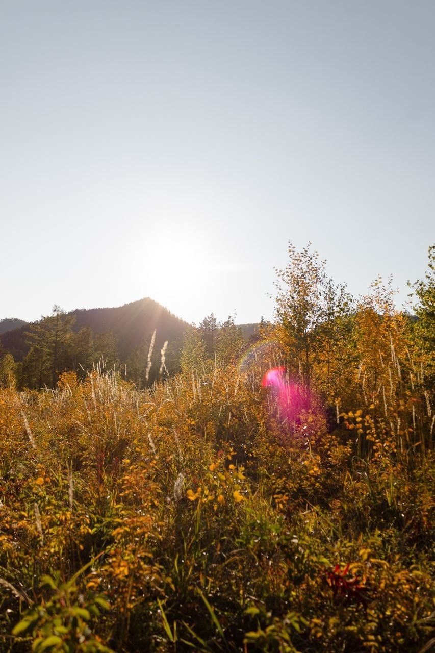 Международный лесоклиматический форум «Экосистема Байкала — 2025» / Подари Планете Жизнь / 5 дней. Борщевская Елизавета / фотограф Иркутск