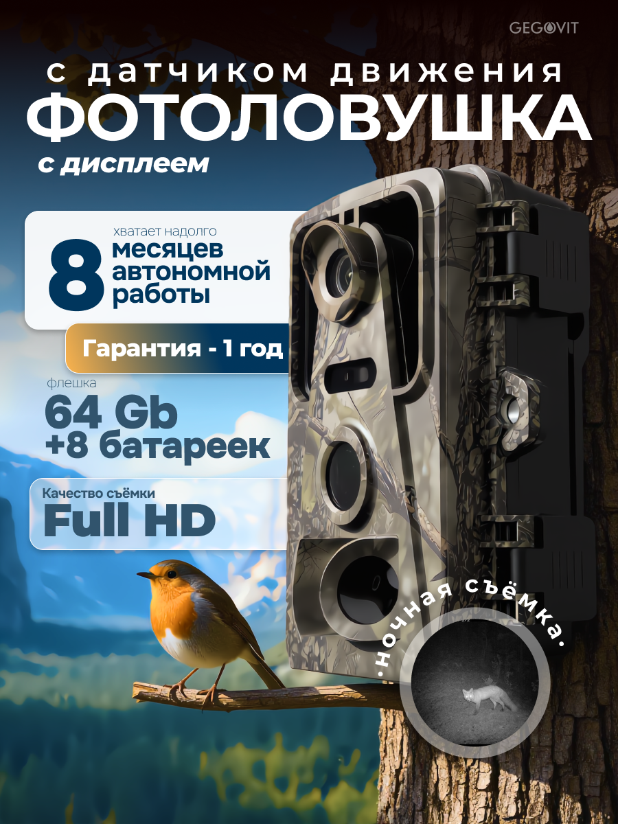 Инфографика, дизайн карточек для маркетплейсов: ВБ, Озон. Фотограф в Брянске — Анна Арутюнян