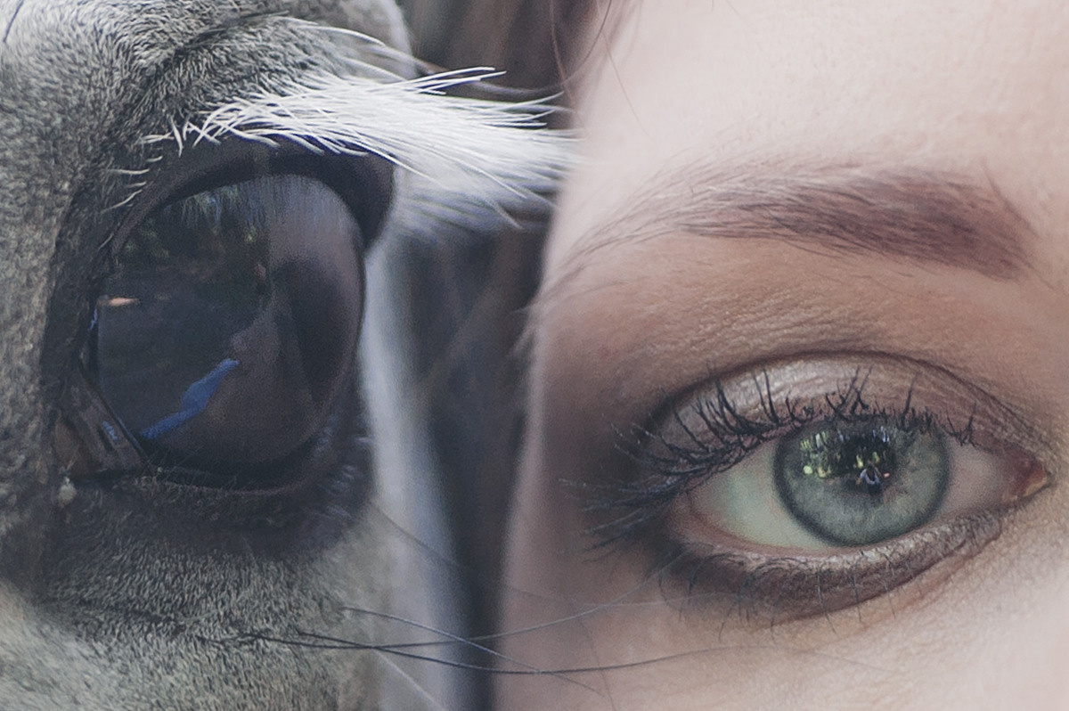 Свадебный фотограф Марина Тувиста!. Семейный и детский фотограф Марина Тувиста в Санкт-Петербурге