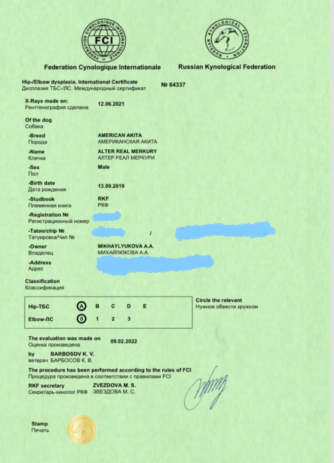 МЭР * Alter Real Mercury американская акита рубилайт rubylight акита вязка щенки