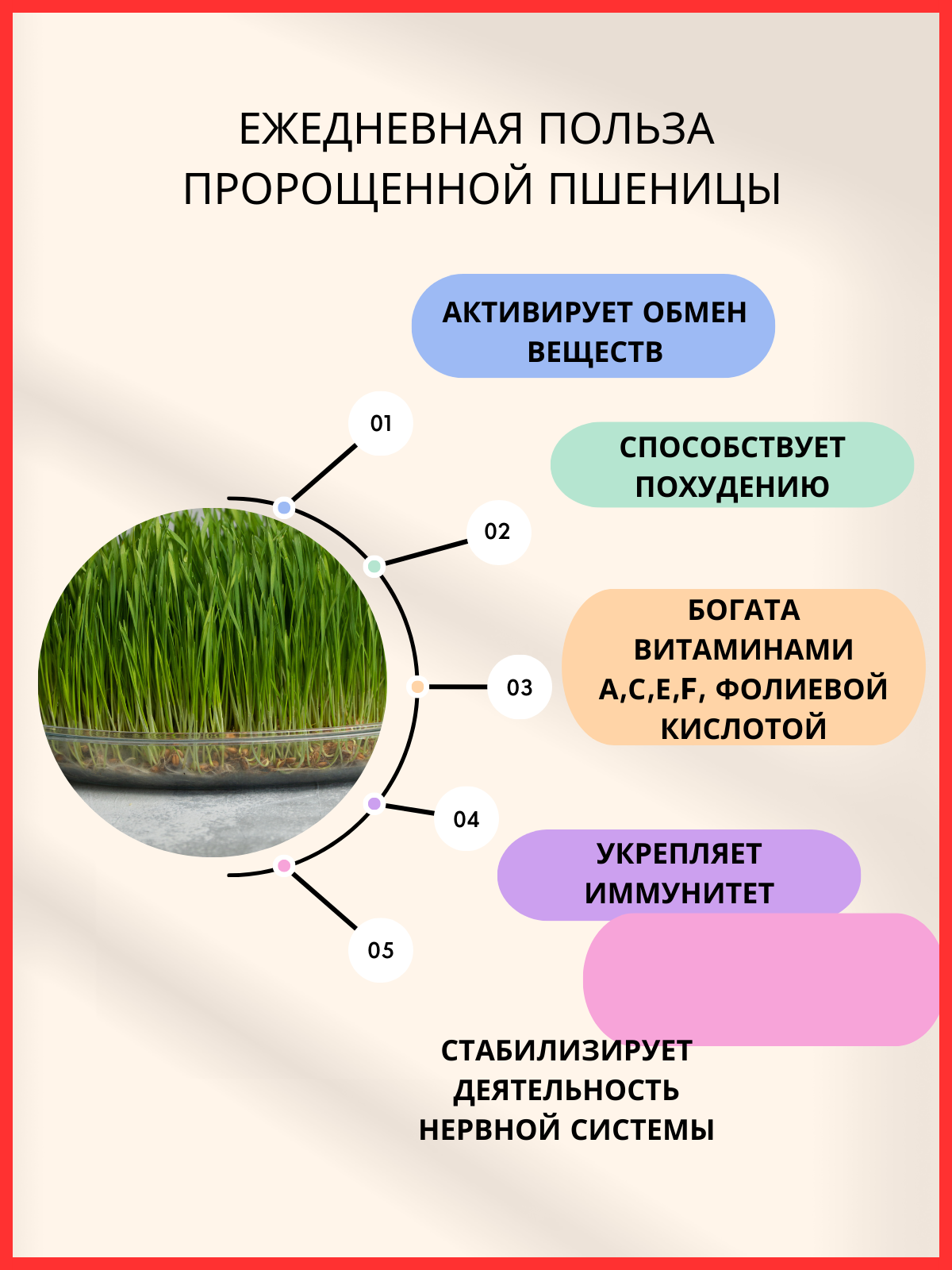 Инфографика. Фото для Маркетплейсов