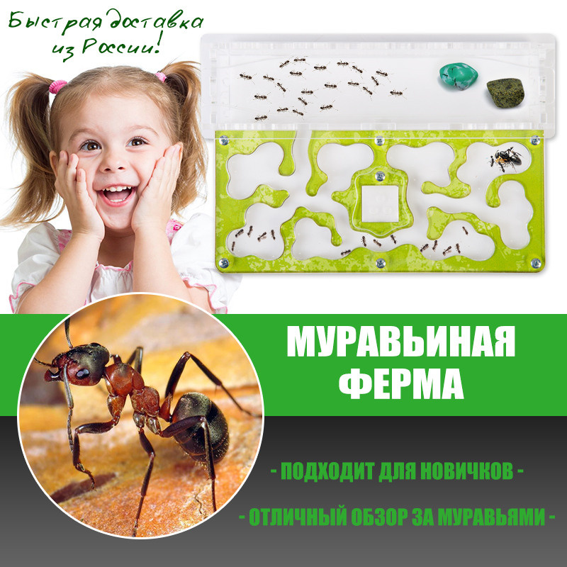 Инфографика. Профессиональный фотограф в Нижнем Новгороде — ФотоLEON