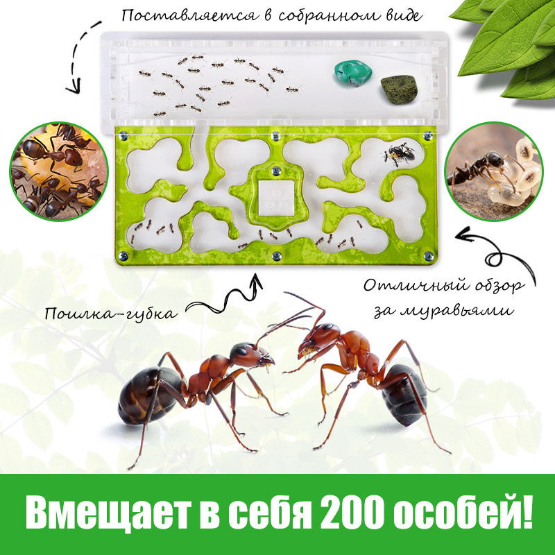 Инфографика. Профессиональный фотограф в Нижнем Новгороде — ФотоLEON