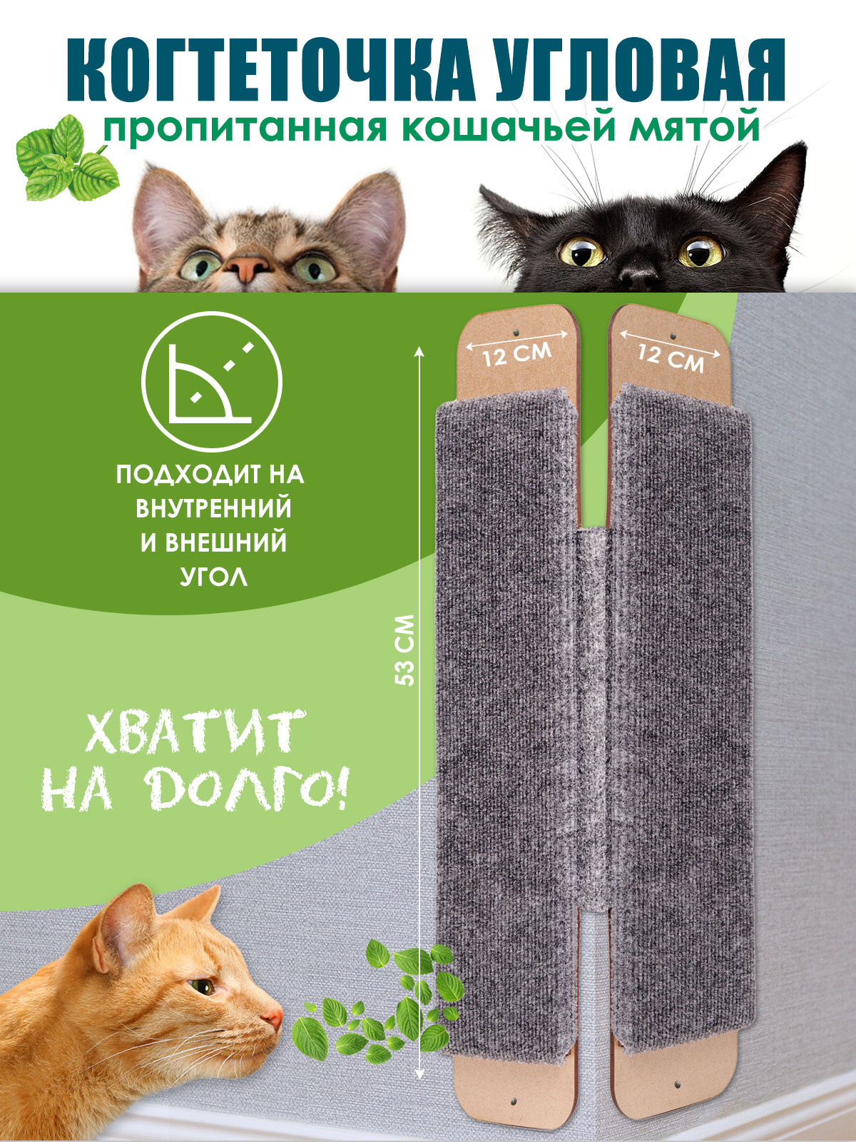 Инфографика. Профессиональный фотограф в Нижнем Новгороде — ФотоLEON