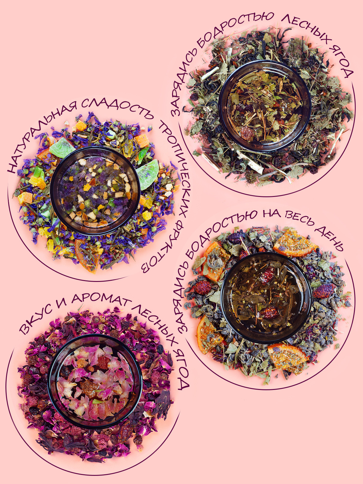 Инфографика. Профессиональный фотограф в Нижнем Новгороде — ФотоLEON