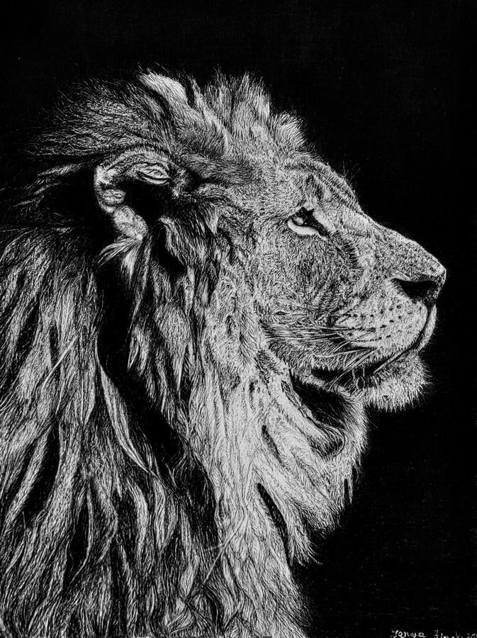 Финч Татьяна Николаевна. Галерея участников Российской Премии Искусств