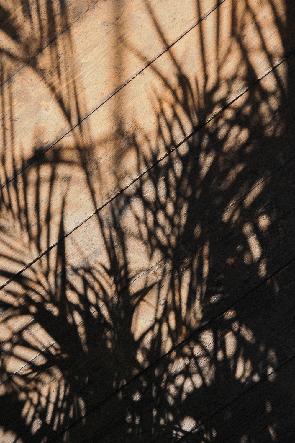 Андрей и Анна. Фотограф Ксения Ресси