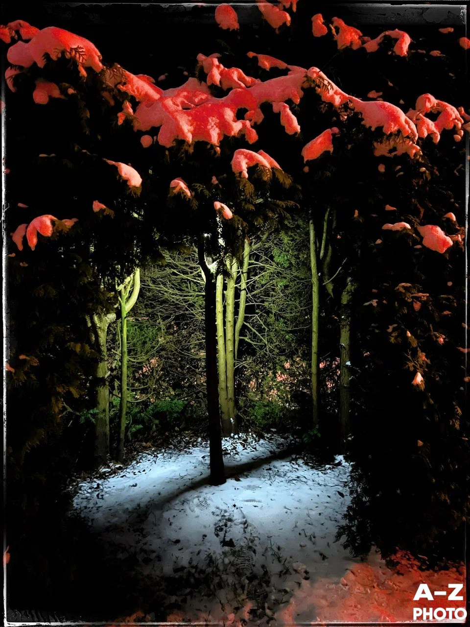 #ФОТОНЕДЕЛИ 01.12.2025. Женский семейный фотограф Тула Москва Захарова Анна