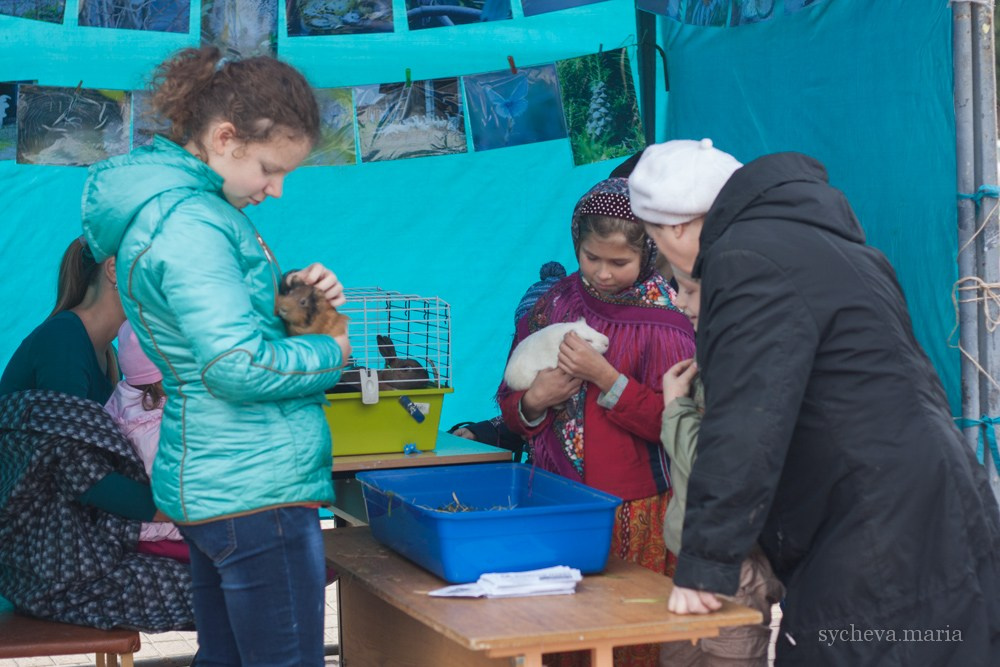 Ярмарка талантов. Детский и семейный фотограф, фотограф мероприятий Нижний Новгород