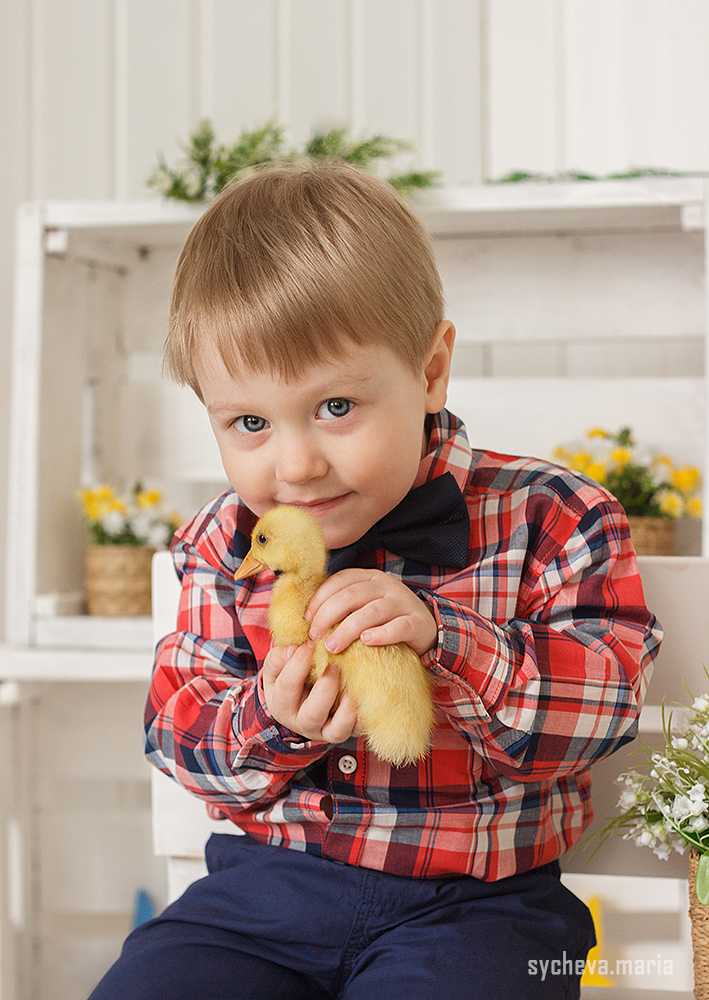 Семейная пасхальная фотосессия в студии с цыплятами. Детский и семейный фотограф, фотограф мероприятий Нижний Новгород