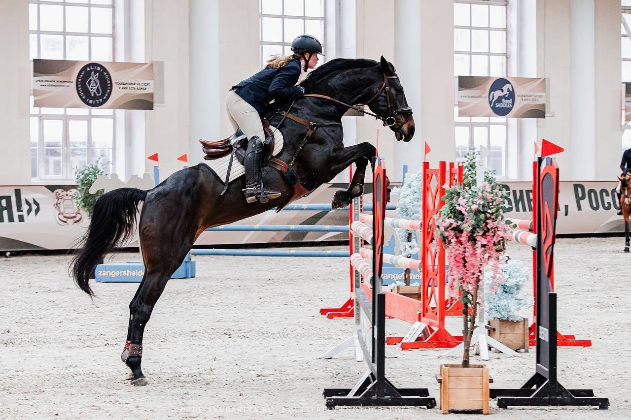 ВСЕРОССИЙСКИЕ СОРЕВНОВАНИЯ ПО КОНКУРУ НА ПРИЗЫ КСК «ВИВАТ, РОССИЯ». Куракина Дарья • Конный фотограф