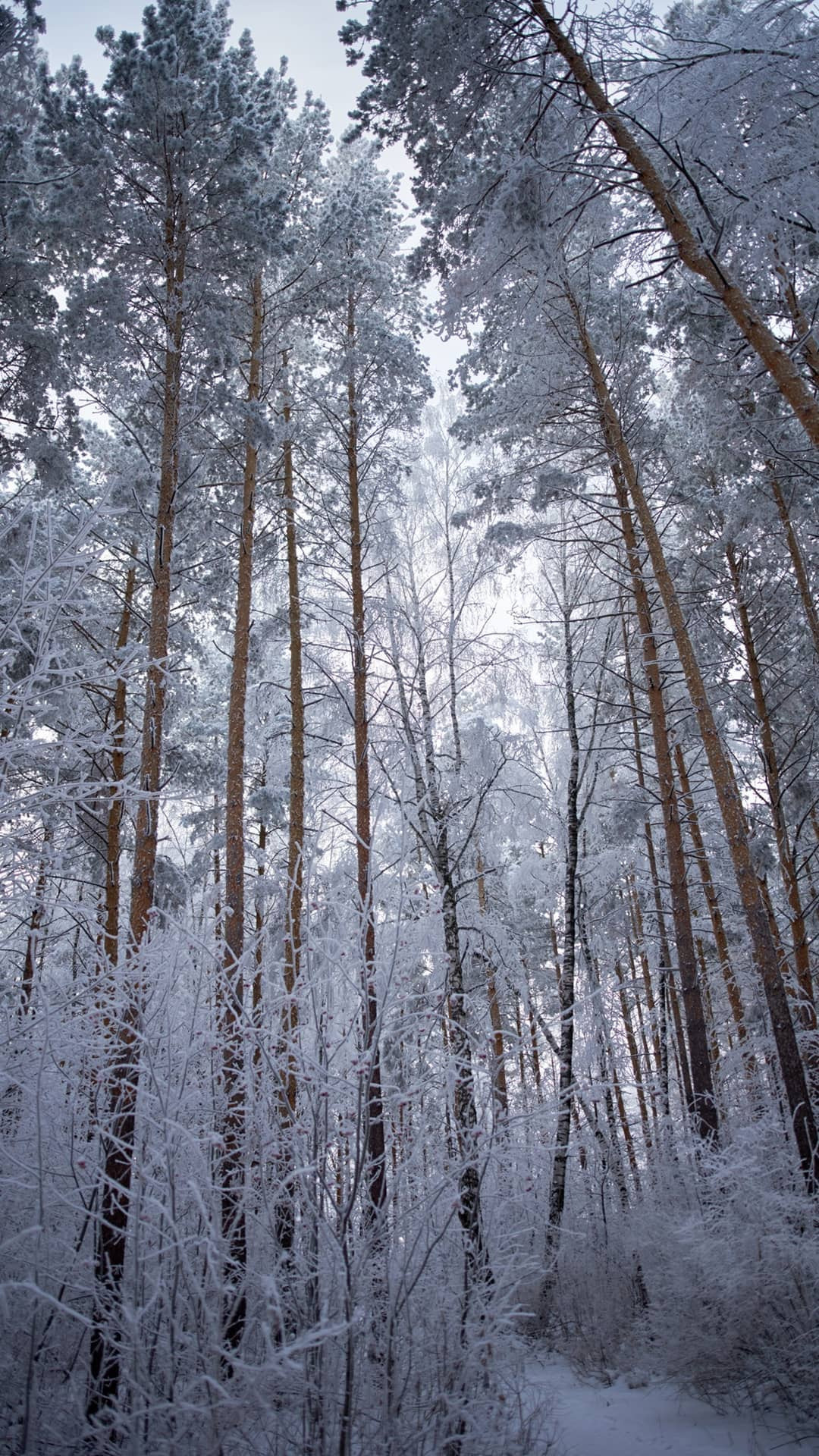Красивые места. Фотограф Белебей Абзалетдинов Артур