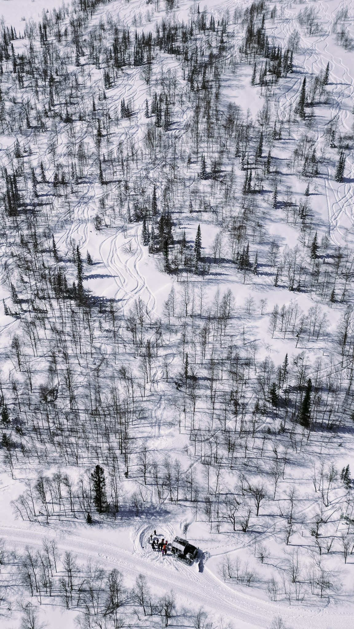 Приисковое. Человек с фотокамерой