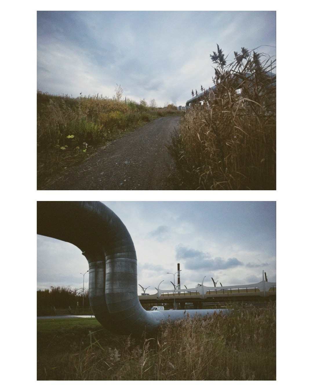 Saint-Petersburg. Alina Panover