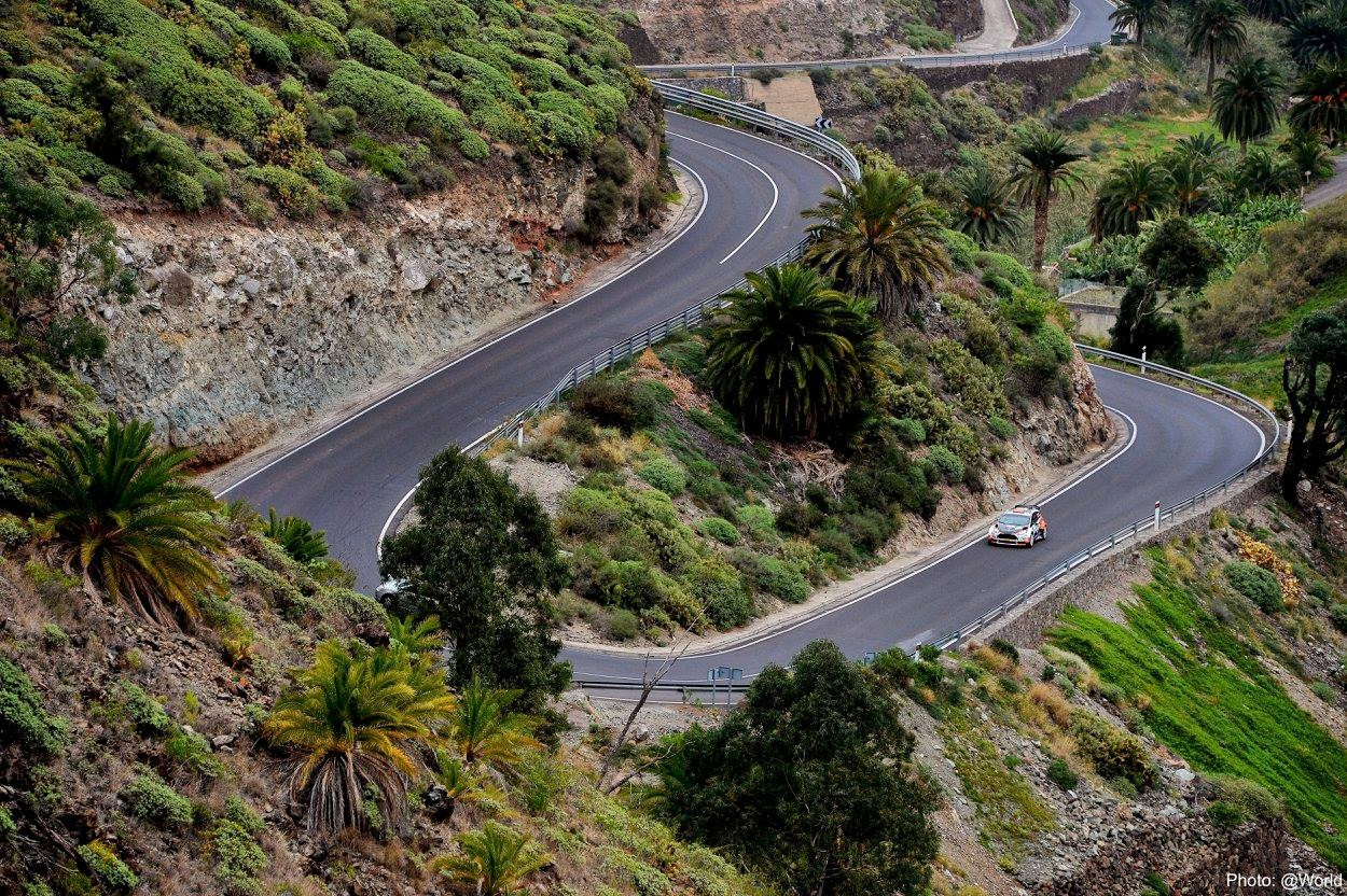 Спорт и свет | Лина Арнаутова