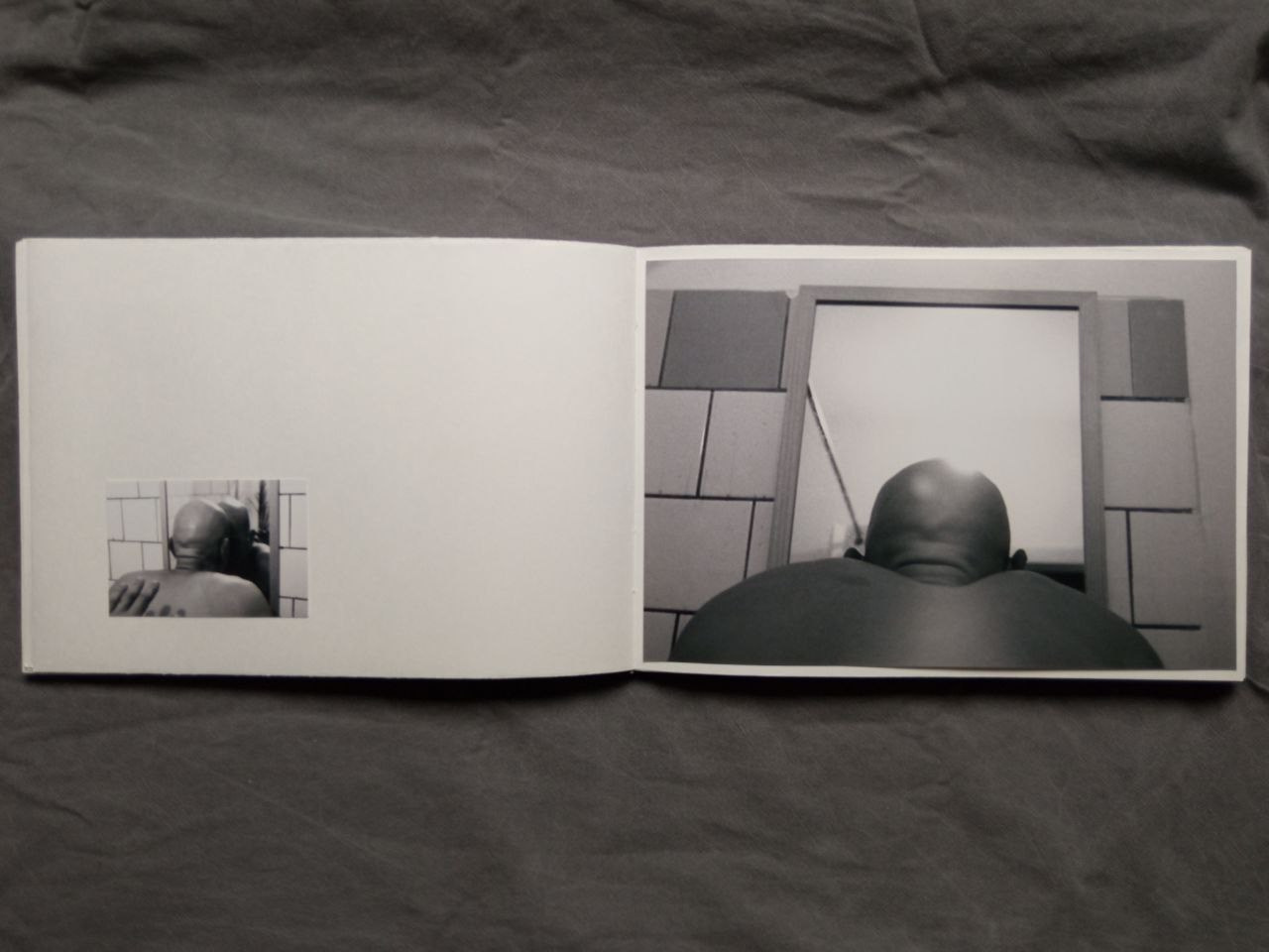 Максим Юданов | Деревья, трава и камни. Private image