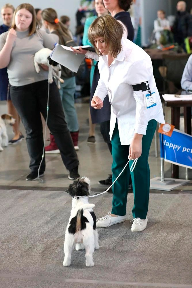 Port Fortis Destiny Of Love