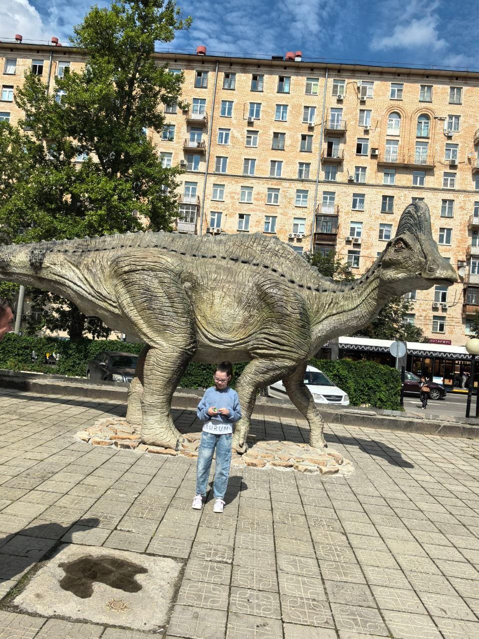 Дарвиновский музей г. Москва экологические приключения. АНО «Центра социальных проектов «Путь в большой мир»