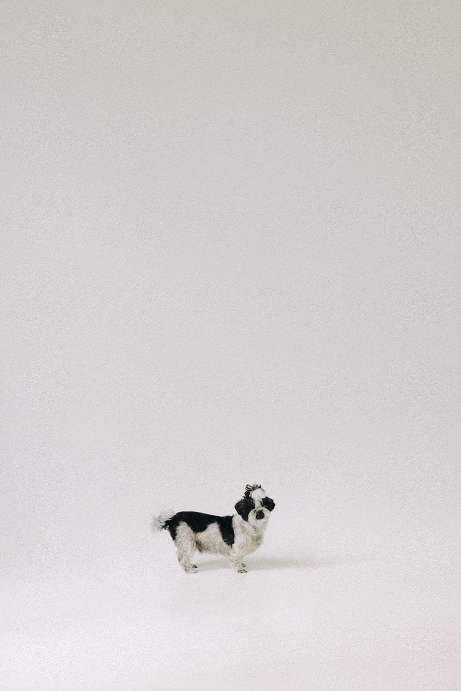 Дамиру целый год!. Фотограф Нижний Новгород