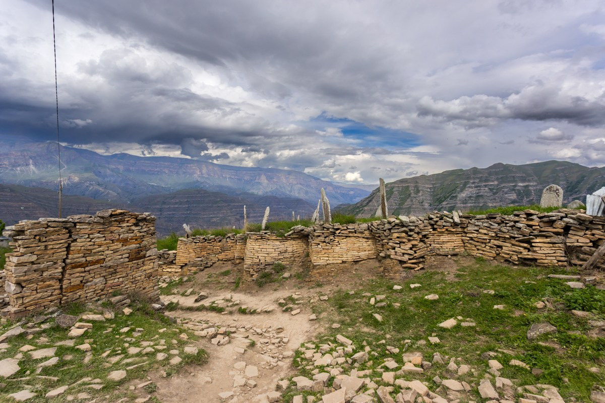 Язык Тролля. Photomantis