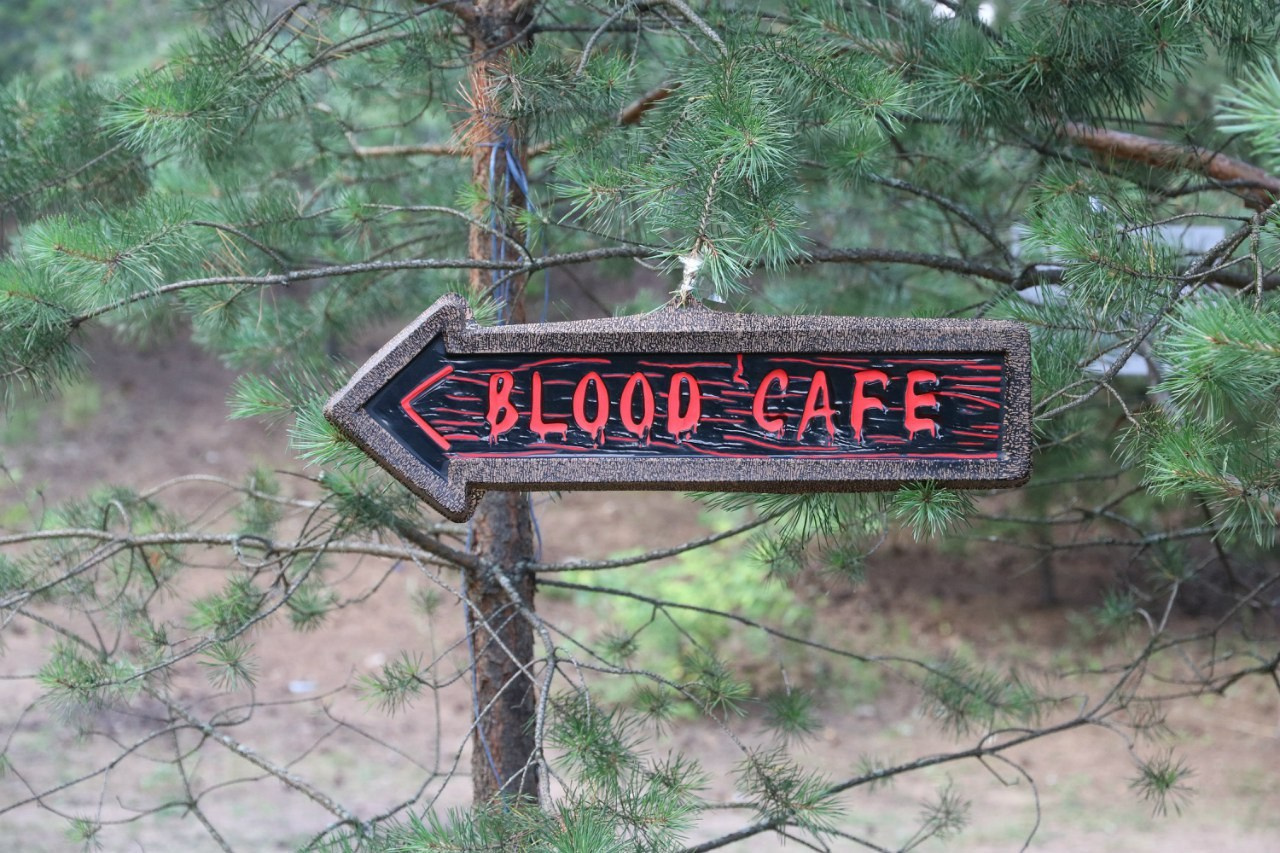 Походная романтика 19! Аццкий отжиг! | 15-17.07.2016. Галерея Фантим