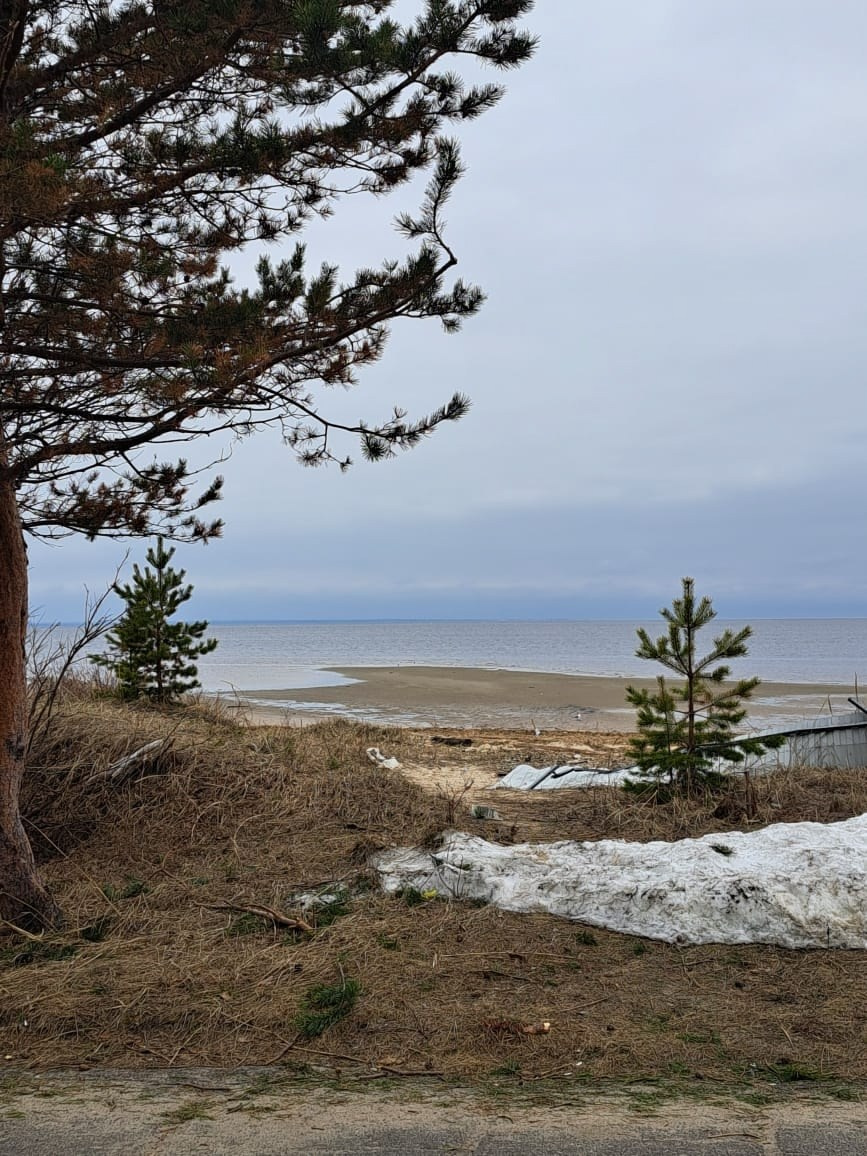 Архангельск | 08.05 — 11.05.2025. Галерея Фантим