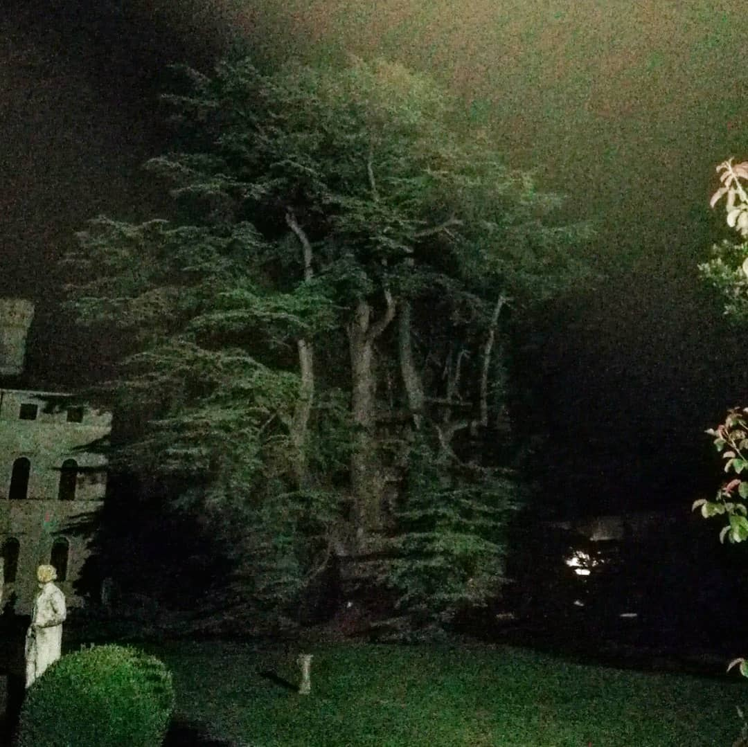 Anka`s Instagram. Заставка