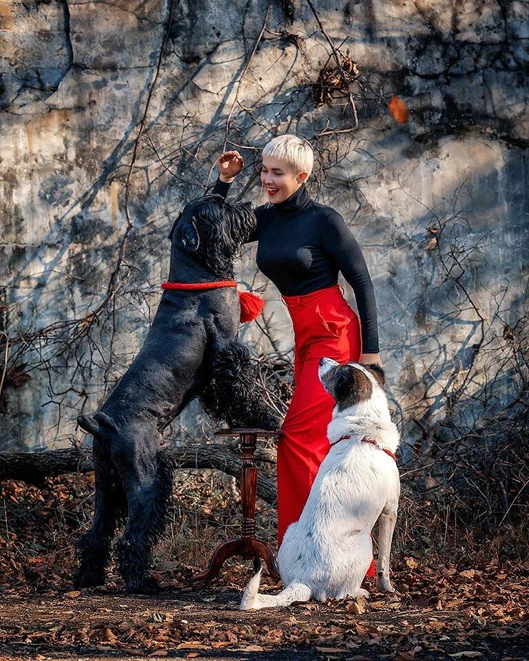 Фотосессия с собаками. Фотограф Кочнова Диана город Владивосток