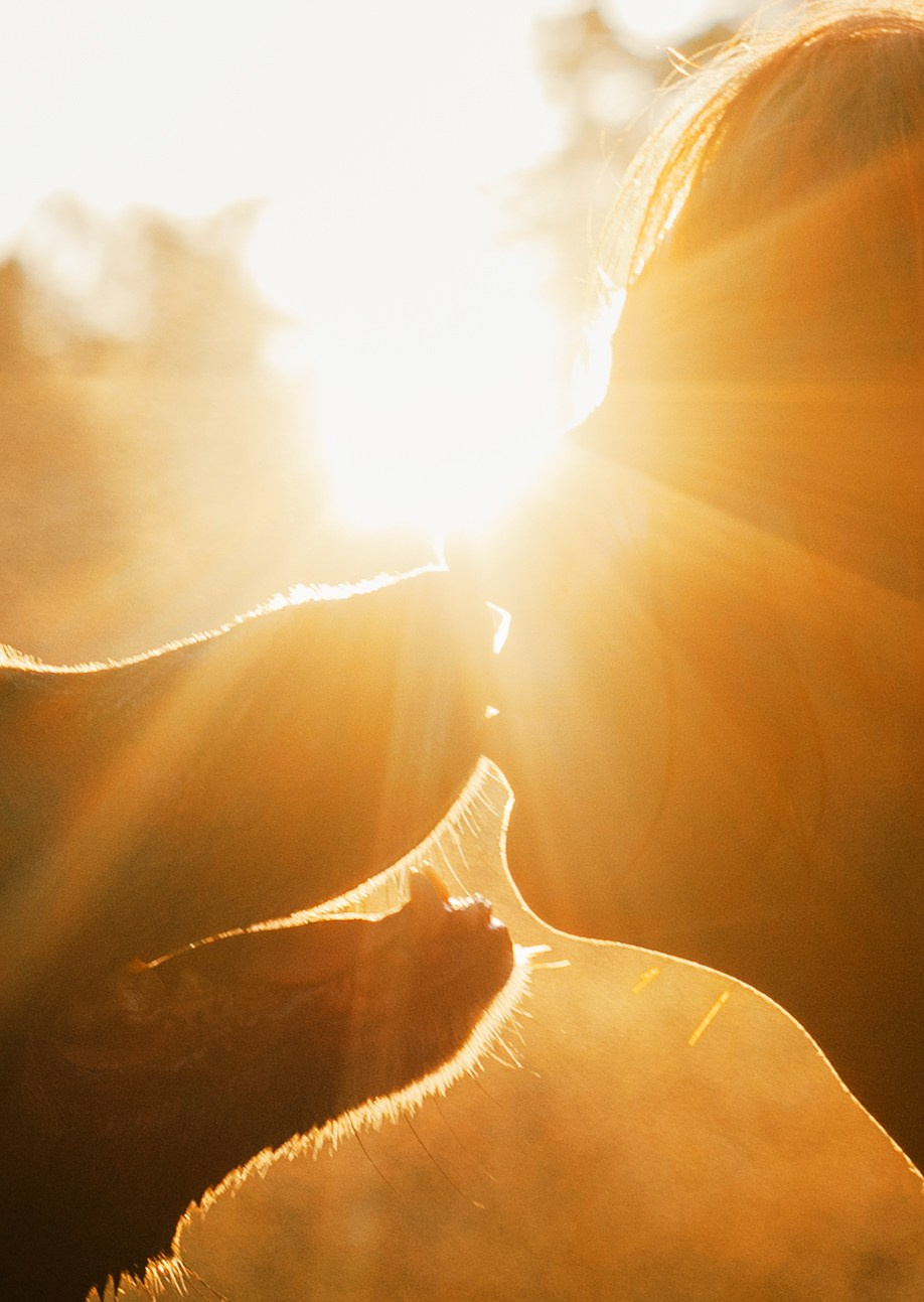 Лиза и Коди. Фотограф-анималист Богданова Полина