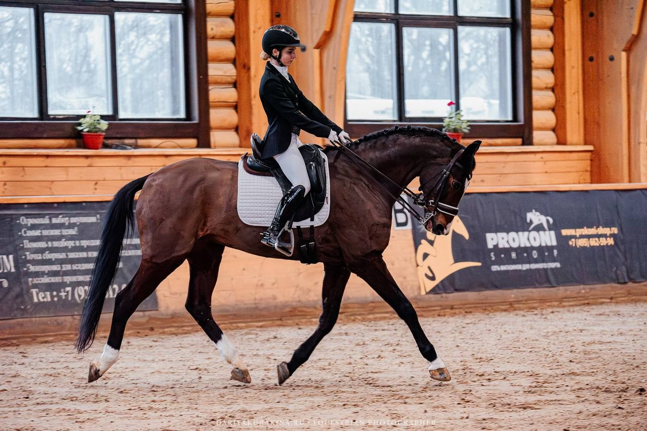 СОРЕВНОВАНИЯ «ЗИМНИЙ КУБОК КСК «ПЕГАС» ПО ВЫЕЗДКЕ. Куракина Дарья • Конный фотограф