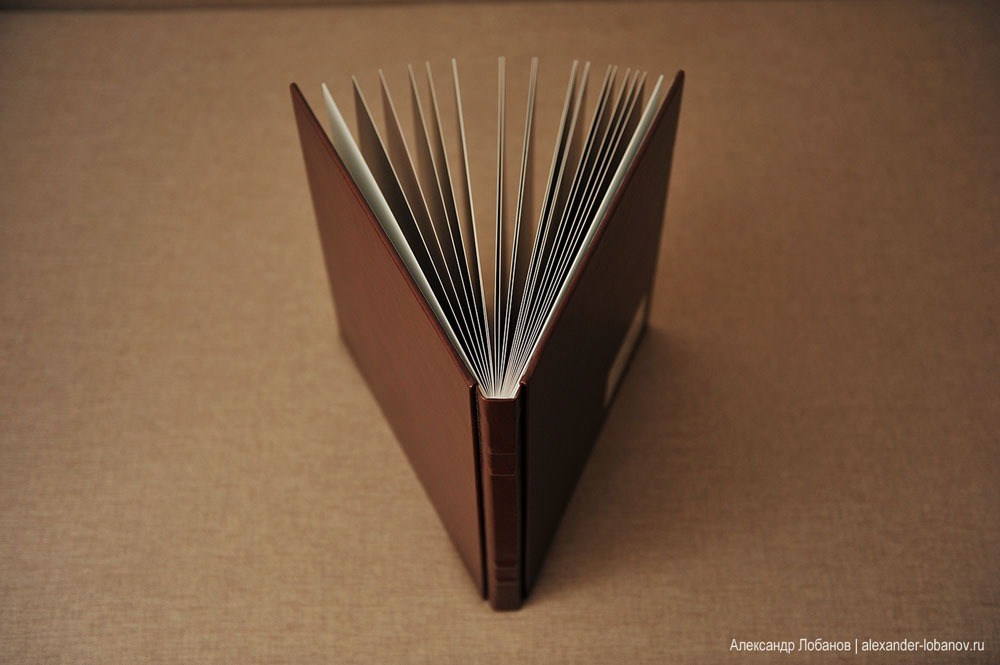 ДМИТРИЙ И ОЛЬГА