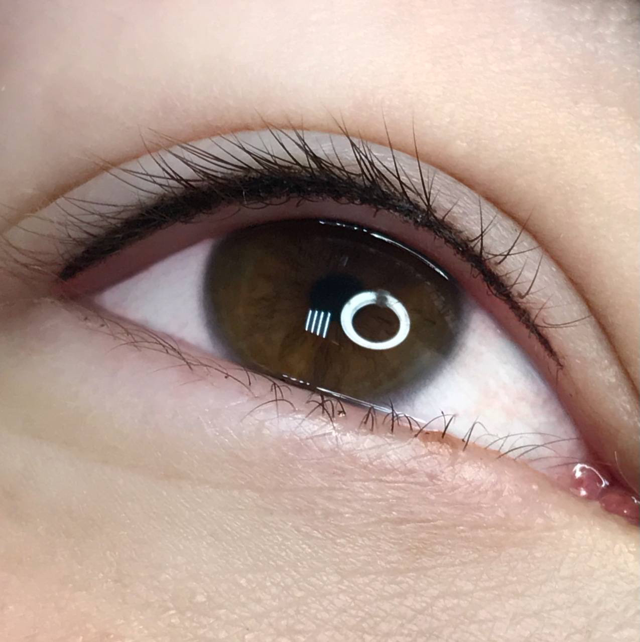 Оксана Кошелева. Обучение тату Хабаровск. Диплом гос.образца. татуировки Хабаровск