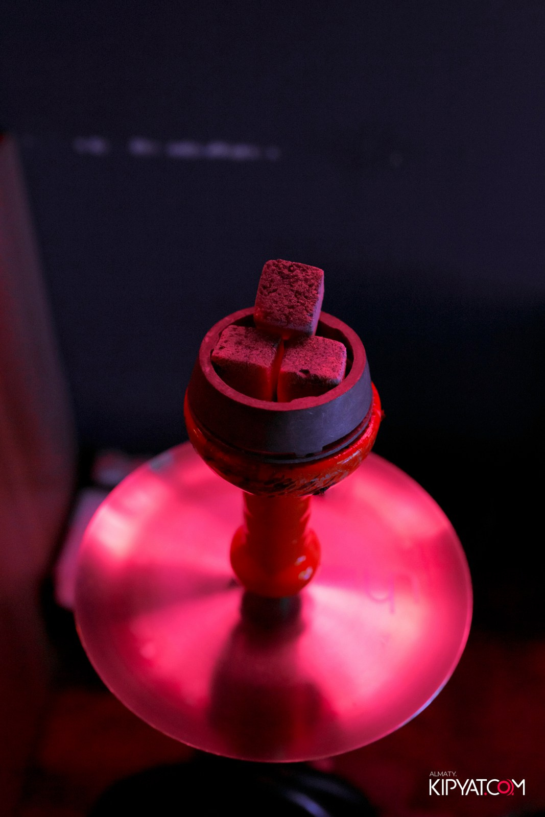 VICE CITY. КИПЯТКОМ АЛМАТЫ!