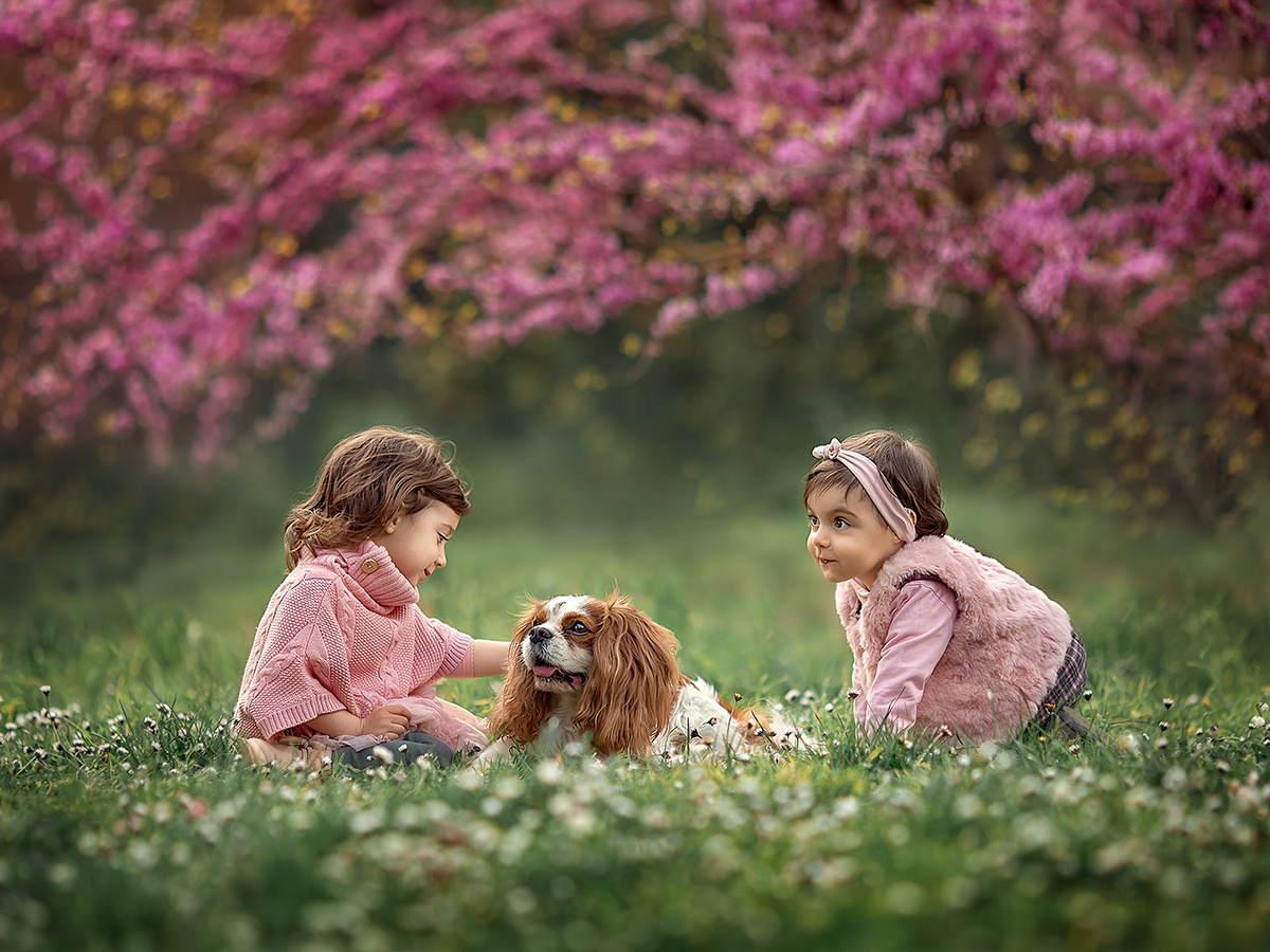 Детская фотосъемка. Детский и семейный фотограф Елена Михайлова в Москве