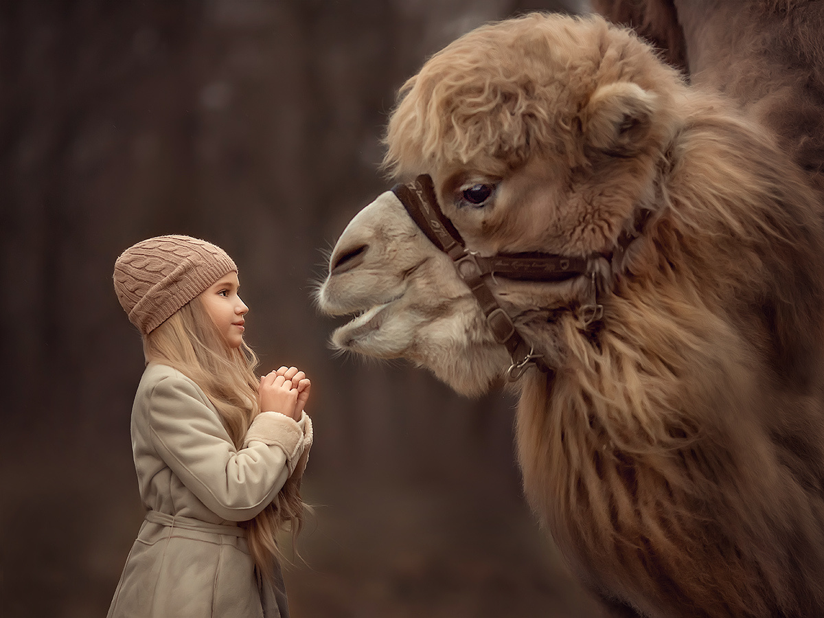Детская фотосъемка. Детский и семейный фотограф Елена Михайлова в Москве