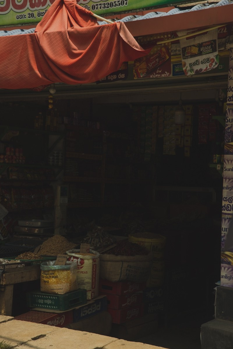 Шри-ланка. Ретрит «Bodу.Mind.Soul» Март 2024 Фото. Профессиональный фотограф Татьяна Евглевская