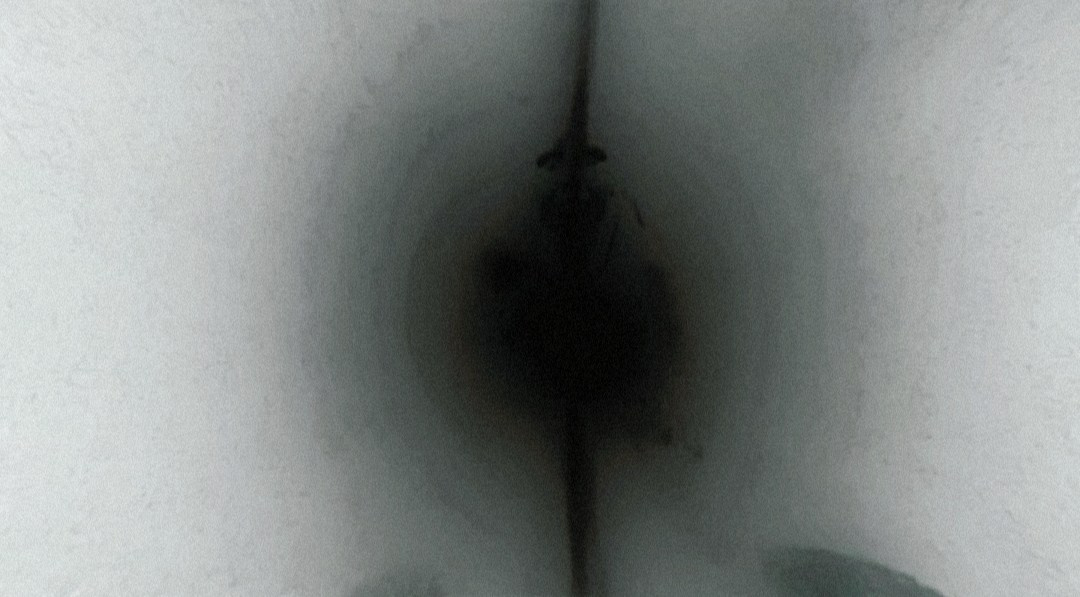 Art house movie «Borderline». Sveti Sveta • визуальный артист Светлана Дубских