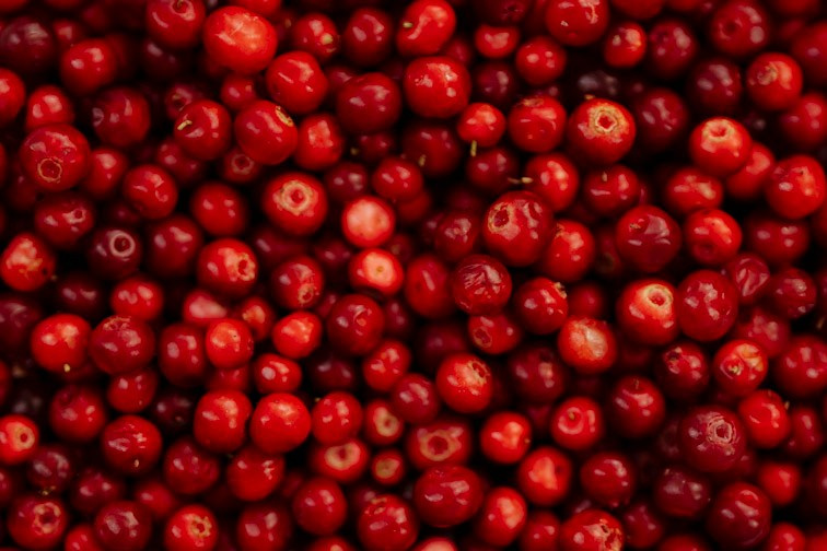 Сюжет № 12|Волкова Дарья