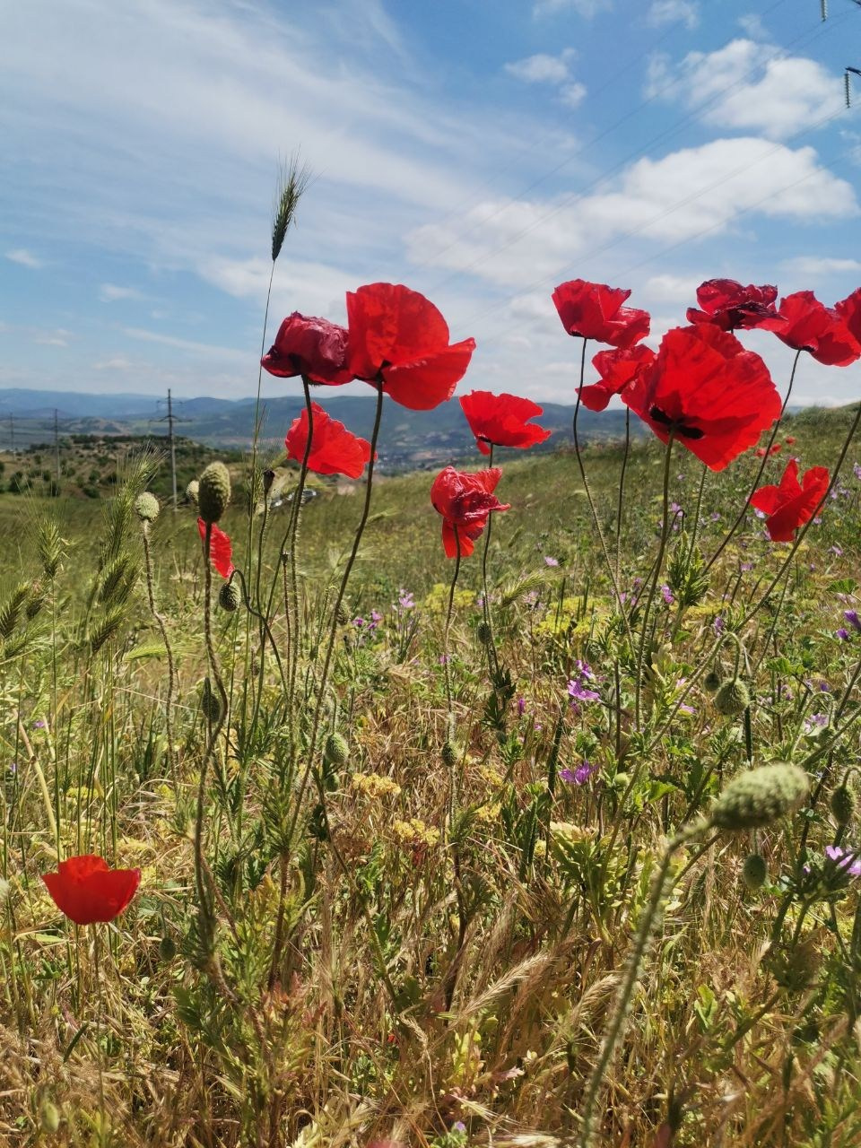 Авторские туры за границу. Премиальные авторские путешествия — наслаждайтесь эксклюзивным отдыхом. Фотограф в Перми Любовь Огородова | Авторские туры