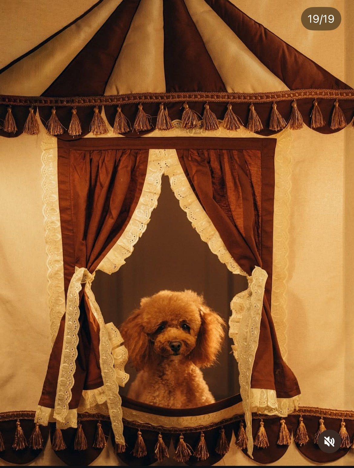 🎬 НОВОГОДНИЙ ФОТОДЕНЬ «КИНО И ВОЛШЕБСТВО». Свадебный фотограф в Казани, РТ, РФ Миннуллин Динар