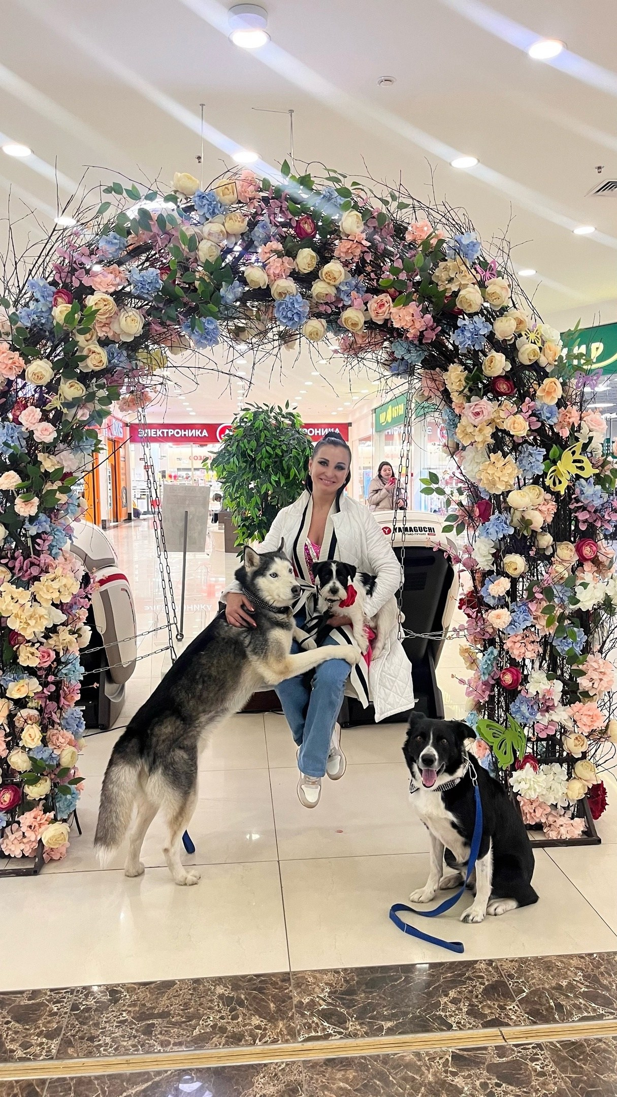 CM_РОККИ. КАНЕ МАЭСТРО — питомник Джек рассел терьеров