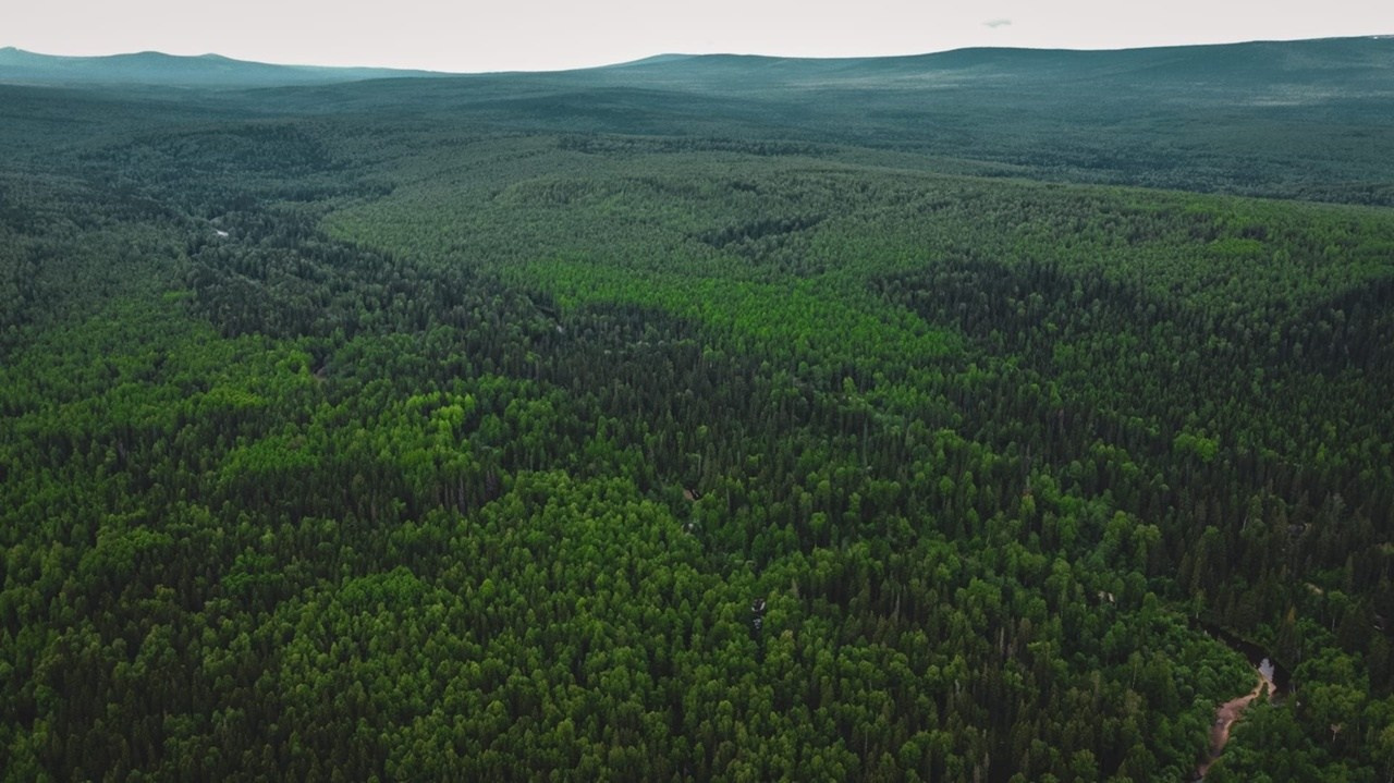 Поездка на гору Шудья-Пендыш
