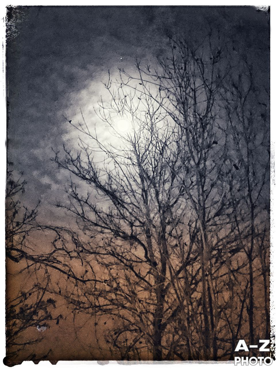 #ФОТОНЕДЕЛИ 02.02.2026. Женский семейный фотограф Тула Москва Захарова Анна