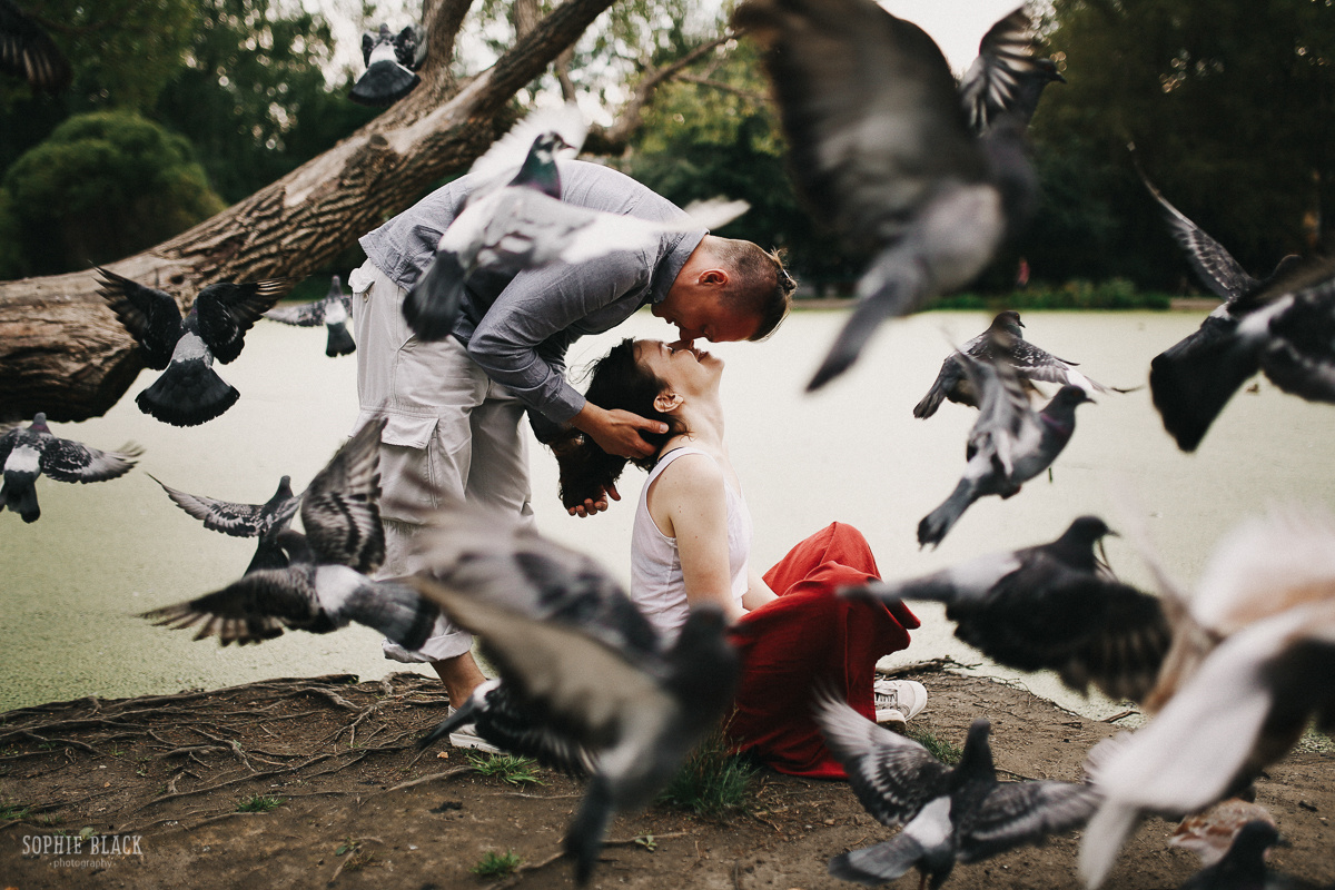 Алая птичка. Соня Черных (sophieblack)